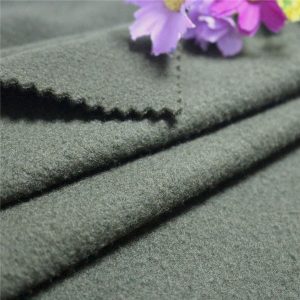 Dengan Oeko-Tex 100 Standard Polyester Outdoor Jacket Polar Fleece Lining Fabric
